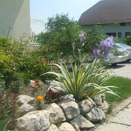 Flora Villa Heviz Exterior photo
